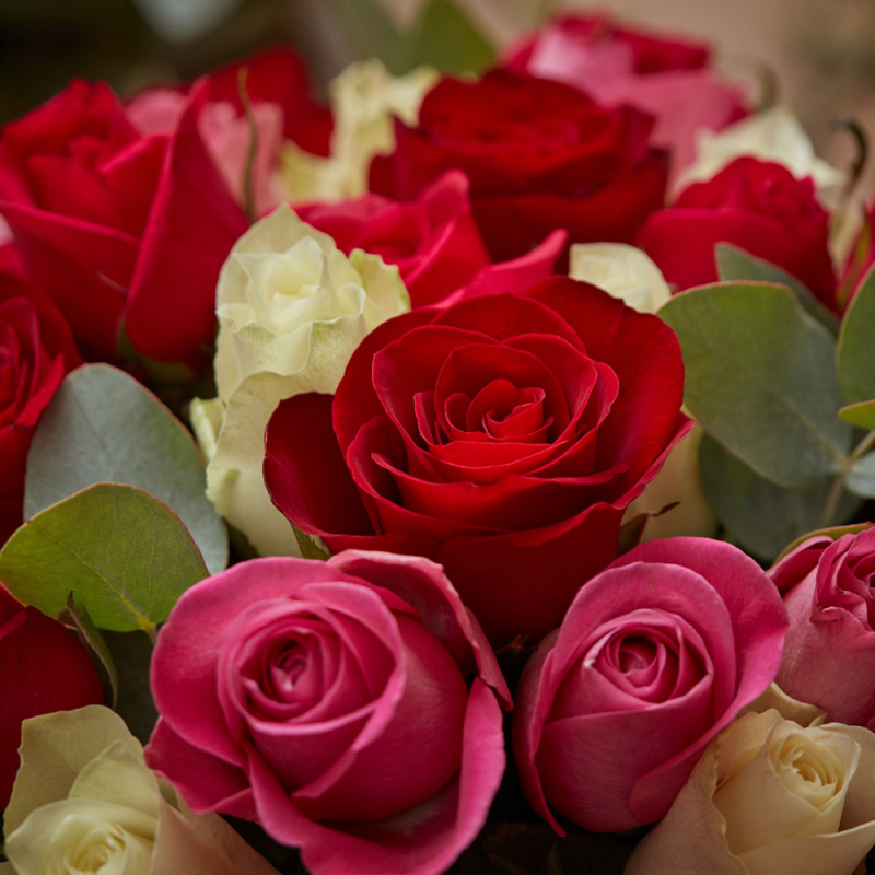Bouquet roses blanches, rouges et eucaliptus, livraison comprise