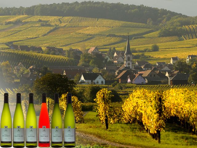 Sélection de vins (cépages au choix)